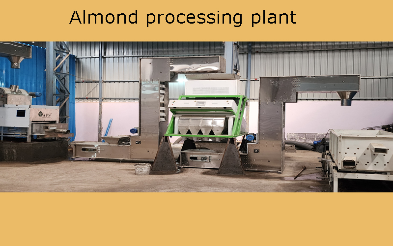 almond processing plant